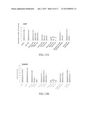 TARGETING CANCER STEM CELLS diagram and image