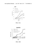 TARGETING CANCER STEM CELLS diagram and image