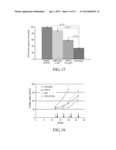 TARGETING CANCER STEM CELLS diagram and image