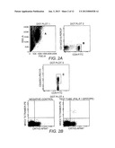 DIRECT ANALYSIS OF ANTIGEN-SPECIFIC IMMUNE RESPONSE diagram and image