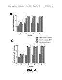 BACTERIUM COMPRISING A REGULATED rfaH NUCLEIC ACID diagram and image