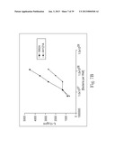 BIFIDOBACTERIUM STRAIN diagram and image