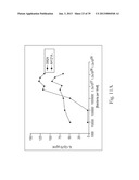 BIFIDOBACTERIUM STRAIN diagram and image