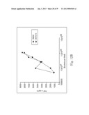 BIFIDOBACTERIUM STRAIN diagram and image