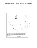 BIFIDOBACTERIUM STRAIN diagram and image