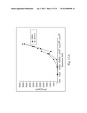 BIFIDOBACTERIUM STRAIN diagram and image