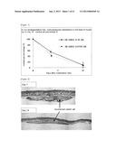 CELL SUPPORT AND BONE REGENERATION MATERIAL diagram and image