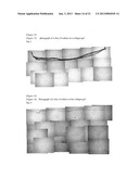 CELL SUPPORT AND BONE REGENERATION MATERIAL diagram and image