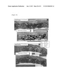 CELL SUPPORT AND BONE REGENERATION MATERIAL diagram and image