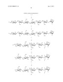 BIOTINYLATED HEXADECASACCHARIDES, PREPARATION AND USE THEREOF diagram and image