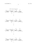 BIOTINYLATED HEXADECASACCHARIDES, PREPARATION AND USE THEREOF diagram and image