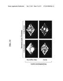 Polymer Nanofilm Coatings diagram and image