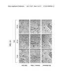 Polymer Nanofilm Coatings diagram and image