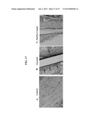 Polymer Nanofilm Coatings diagram and image