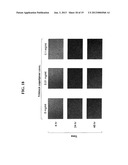 Polymer Nanofilm Coatings diagram and image