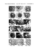 CONTROLLING UPTAKE BY CELLS diagram and image