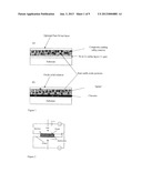 COMPOSITE COATINGS FOR OXIDATION PROTECTION diagram and image