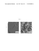 FUEL CELL ELECTRODES diagram and image