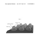 FUEL CELL ELECTRODES diagram and image