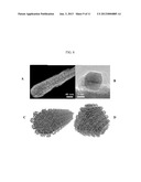 FUEL CELL ELECTRODES diagram and image