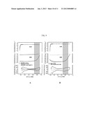 FUEL CELL ELECTRODES diagram and image