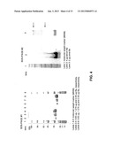 METHODS OF USE FOR AN IMMUNOASSAY DETECTING FRAGMENT Ba diagram and image