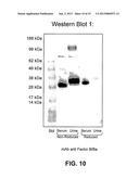 METHODS OF USE FOR AN IMMUNOASSAY DETECTING FRAGMENT Ba diagram and image