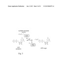 GLYCOSYLTRANSFERASE REVERSIBILITY FOR SUGAR NUCLEOTIDE SYNTHESIS AND     MICROSCALE SCANNING diagram and image