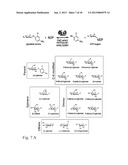 GLYCOSYLTRANSFERASE REVERSIBILITY FOR SUGAR NUCLEOTIDE SYNTHESIS AND     MICROSCALE SCANNING diagram and image