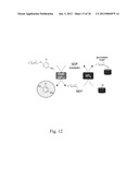 GLYCOSYLTRANSFERASE REVERSIBILITY FOR SUGAR NUCLEOTIDE SYNTHESIS AND     MICROSCALE SCANNING diagram and image