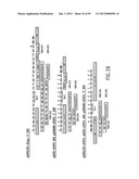 METHODS AND COMPOSITIONS FOR SYNTHESIS OF NUCLEIC ACID MOLECULES USING     MULTIPLERECOGNITION SITES diagram and image