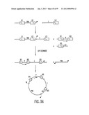 METHODS AND COMPOSITIONS FOR SYNTHESIS OF NUCLEIC ACID MOLECULES USING     MULTIPLERECOGNITION SITES diagram and image