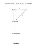 PENTOSE FERMENTATION BY A RECOMBINANT MICROORGANISM diagram and image