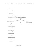 PENTOSE FERMENTATION BY A RECOMBINANT MICROORGANISM diagram and image