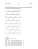 PENTOSE FERMENTATION BY A RECOMBINANT MICROORGANISM diagram and image