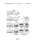 COMPOSITE MEMBRANE WITH INTEGRAL RIM diagram and image