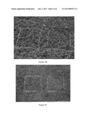 COMPOSITIONS AND METHODS OF USE FOR KETONES AND ALDEHYDES AS HERBICIDES diagram and image