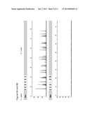 METHOD FOR DIRECT AMPLIFICATION FROM CRUDE NUCLEIC ACID SAMPLES diagram and image