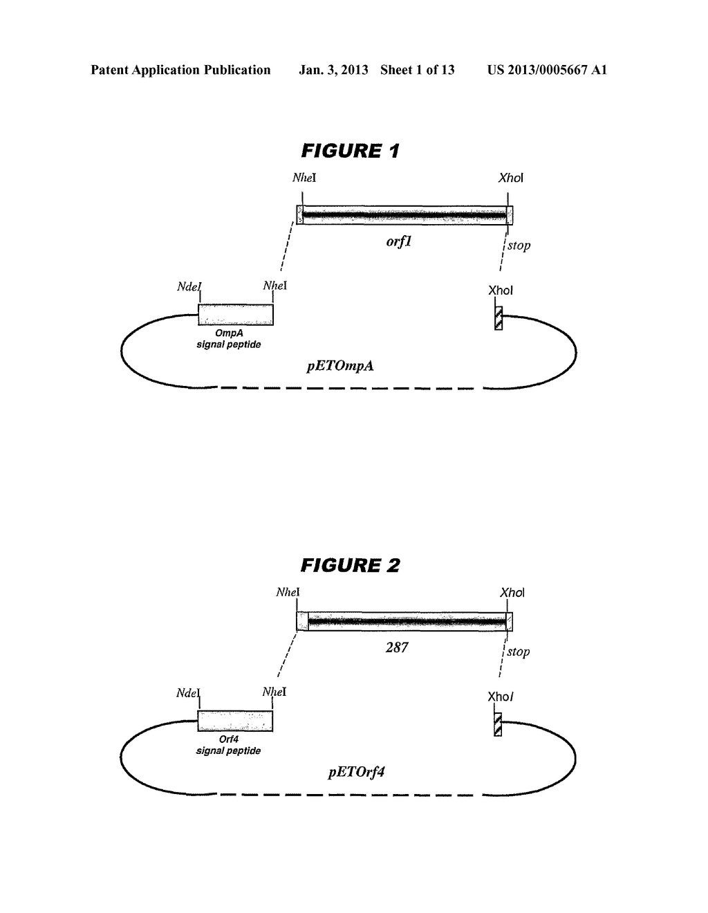 HETEROLOGOUS EXPRESSION OF NEISSERIAL PROTEINS - diagram, schematic, and image 02