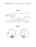 HETEROLOGOUS EXPRESSION OF NEISSERIAL PROTEINS diagram and image