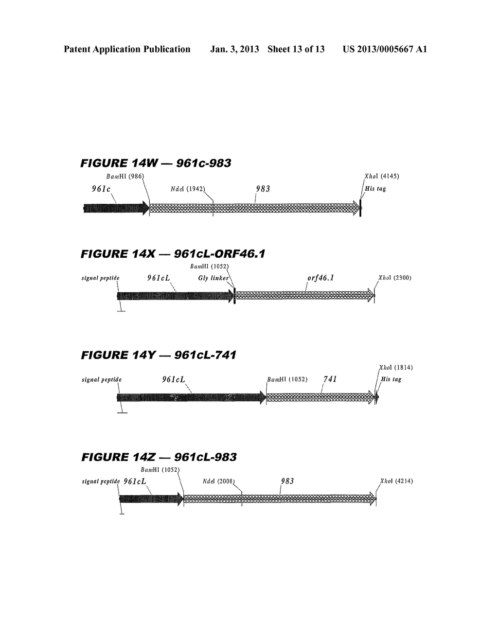 HETEROLOGOUS EXPRESSION OF NEISSERIAL PROTEINS - diagram, schematic, and image 14