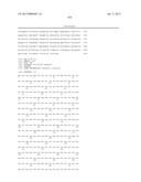 HETEROLOGOUS EXPRESSION OF NEISSERIAL PROTEINS diagram and image