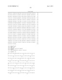 HETEROLOGOUS EXPRESSION OF NEISSERIAL PROTEINS diagram and image