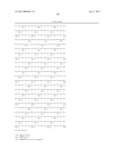 HETEROLOGOUS EXPRESSION OF NEISSERIAL PROTEINS diagram and image