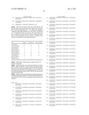 HETEROLOGOUS EXPRESSION OF NEISSERIAL PROTEINS diagram and image