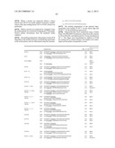 HETEROLOGOUS EXPRESSION OF NEISSERIAL PROTEINS diagram and image