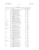 HETEROLOGOUS EXPRESSION OF NEISSERIAL PROTEINS diagram and image