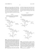 ANTIBACTERIAL 4,5-SUBSTITUTED AMINOGLYCOSIDE ANALOGS HAVING MULTIPLE     SUBSTITUENTS diagram and image