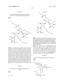 ANTIBACTERIAL 4,5-SUBSTITUTED AMINOGLYCOSIDE ANALOGS HAVING MULTIPLE     SUBSTITUENTS diagram and image