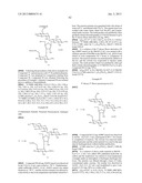 ANTIBACTERIAL 4,5-SUBSTITUTED AMINOGLYCOSIDE ANALOGS HAVING MULTIPLE     SUBSTITUENTS diagram and image